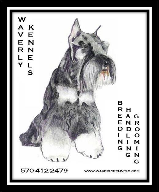 Waverly Kennels Milton PA 17847 5704122479 Dog Grooming